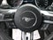 2015 Ford Mustang GT 50 Years Limited Edition