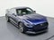 2015 Ford Mustang GT 50 Years Limited Edition