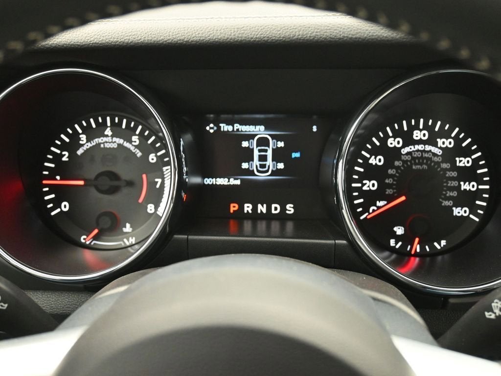 2015 Ford Mustang GT 50 Years Limited Edition