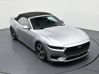 2025 Ford Mustang EcoBoost