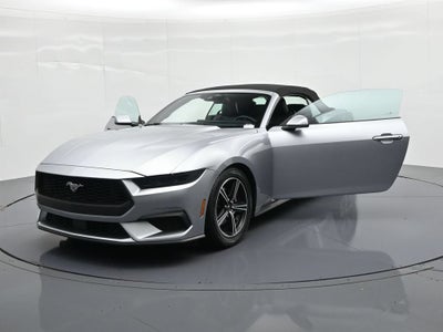 2025 Ford Mustang EcoBoost