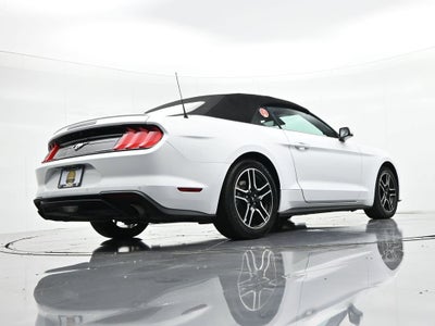 2023 Ford Mustang EcoBoost