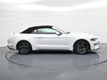 2023 Ford Mustang EcoBoost