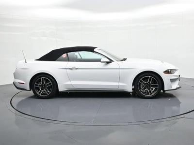 2023 Ford Mustang EcoBoost