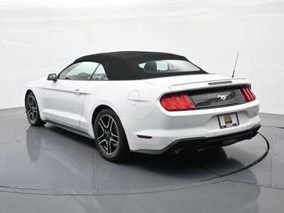 2023 Ford Mustang EcoBoost