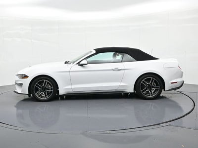 2023 Ford Mustang EcoBoost