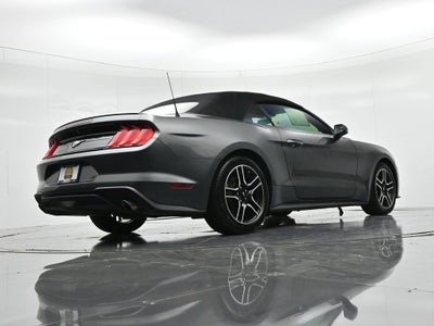 2019 Ford Mustang EcoBoost Premium
